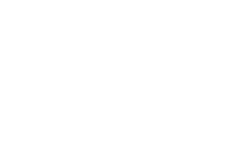 Digital Phoenix SEO Agency Logo