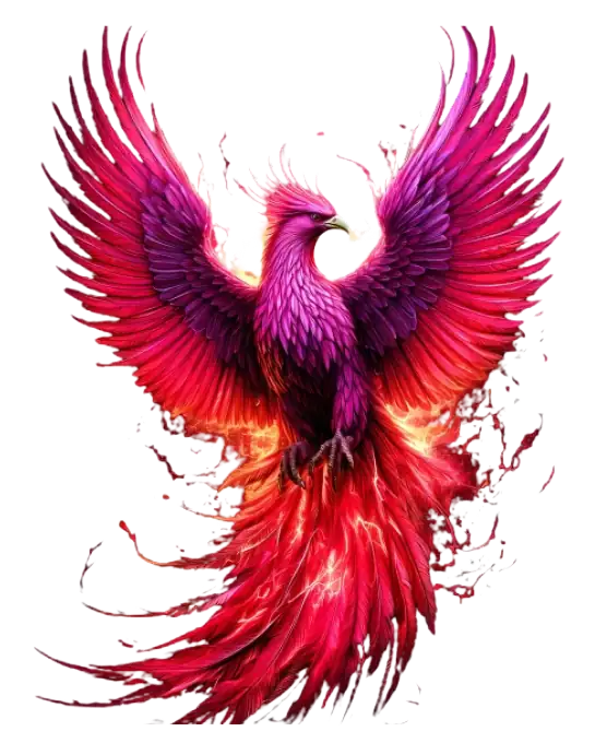 Digital Phoenix SEO
